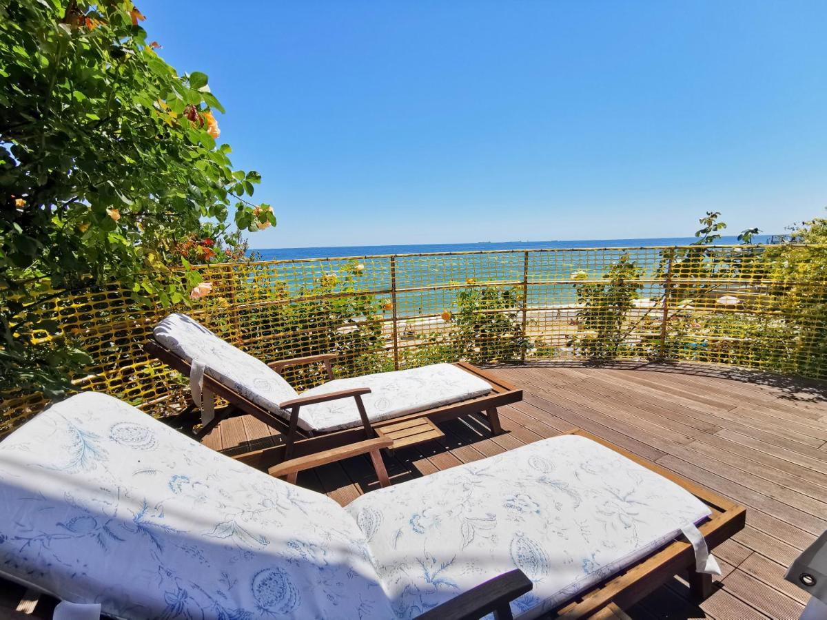 Котеджі На Приватному Пляжу - Совіньон 2024 Odessa Extérieur photo